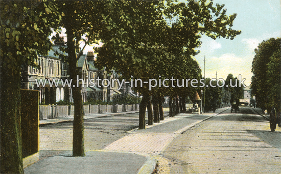 George Lane, South Woodford, london. c.1907.